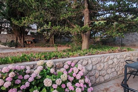 Rab, Barbat - kuća, blizina plaže