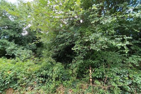 Terreno non edificabile Bakarac, Kraljevica, 3.600m2