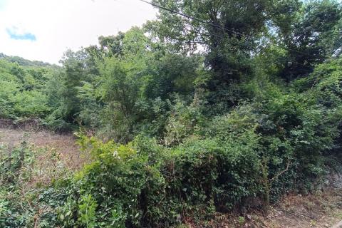 Terreno non edificabile Bakarac, Kraljevica, 3.600m2