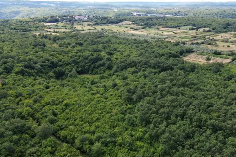 ИСТРИЯ, Лимский канал – Разделённый сельскохозяйственный участок 14 362 м² – 12 участков