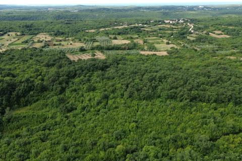 ИСТРИЯ, Лимский канал – Разделённый сельскохозяйственный участок 14 362 м² – 12 участков