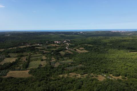 ИСТРИЯ, Лимский канал – Разделённый сельскохозяйственный участок 14 362 м² – 12 участков