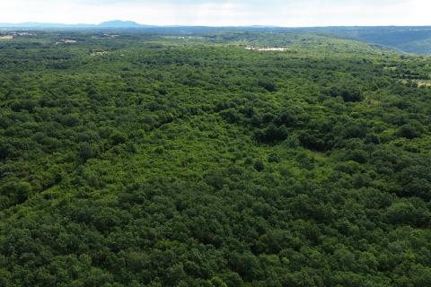 ISTRA, LIMSKI KANAL - Poljoprivredno zemljište 1000 m2 