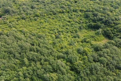 ISTRA, LIMSKI KANAL - Poljoprivredno zemljište 1000 m2 