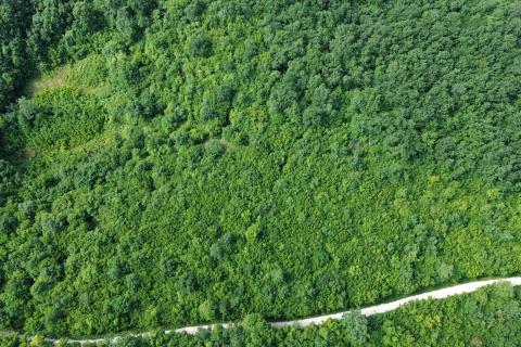 ISTRA, LIMSKI KANAL - Poljoprivredno zemljište 1000 m2 