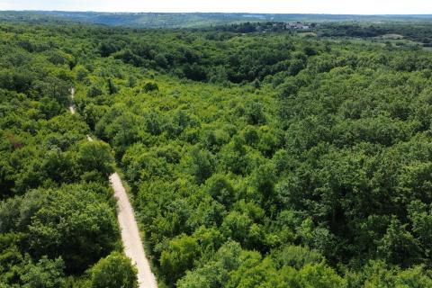 ISTRA, LIMSKI KANAL - Poljoprivredno zemljište 1000 m2 