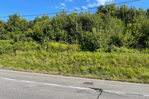 Budinščina, poljoprivredno zemljište 11.980 m2