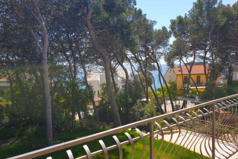 Istra,Rovinj,kuća u šumici do mora,parking,6 apartmana