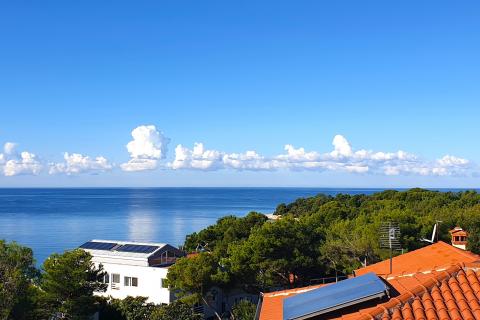Istra,Rovinj,kuća u šumici do mora,parking,6 apartmana