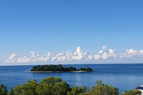 Istra,Rovinj,kuća u šumici do mora,parking,6 apartmana