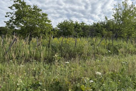 Vrbovec, Fuka - negrađevinsko zemljiše sa zidanom kućicom