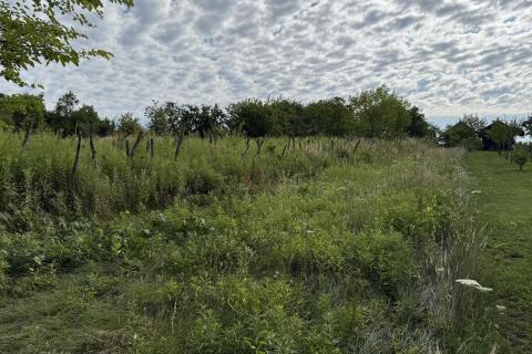 Vrbovec, Fuka - negrađevinsko zemljiše sa zidanom kućicom