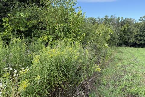 Vrbovec, Fuka - negrađevinsko zemljiše sa zidanom kućicom