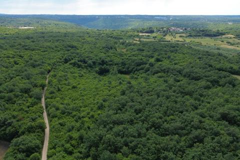 ISTRA, LIMSKI KANAL - Poljoprivredno zemljište 1100 m2