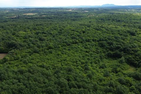 ISTRA, LIMSKI KANAL - Poljoprivredno zemljište 1100 m2