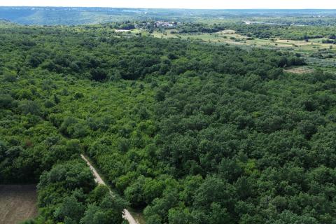 ISTRA, LIMSKI KANAL - Poljoprivredno zemljište 1000 m2