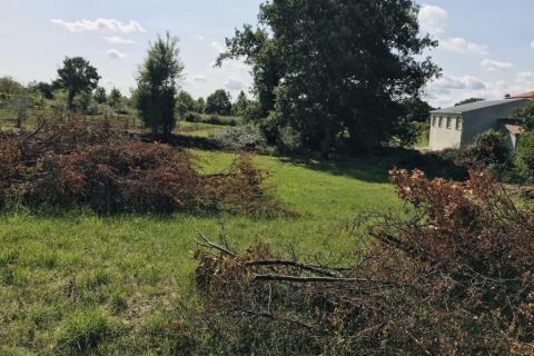 Žminj, Cere – Zemljište s dozvolom za modernu prizemnicu s bazenom