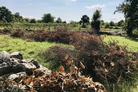 Žminj, Cere – Zemljište s dozvolom za modernu prizemnicu s bazenom