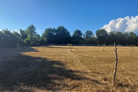 Terreno non edificabile Krnica, Marčana, 37.601m2