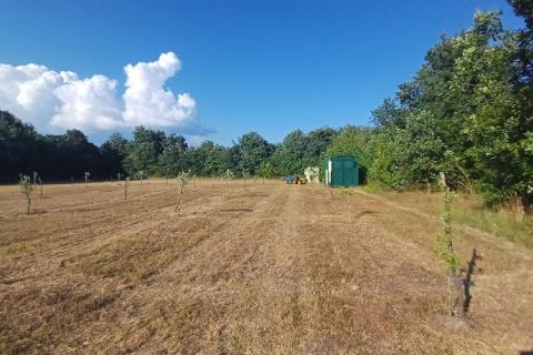 Terreno non edificabile Krnica, Marčana, 37.601m2