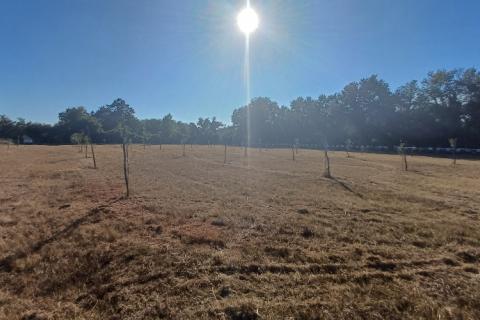 Terreno non edificabile Krnica, Marčana, 37.601m2