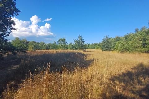 Terreno non edificabile Krnica, Marčana, 37.601m2