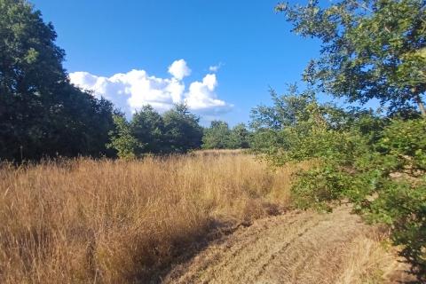 Terreno non edificabile Krnica, Marčana, 37.601m2