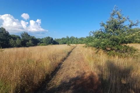 Terreno non edificabile Krnica, Marčana, 37.601m2