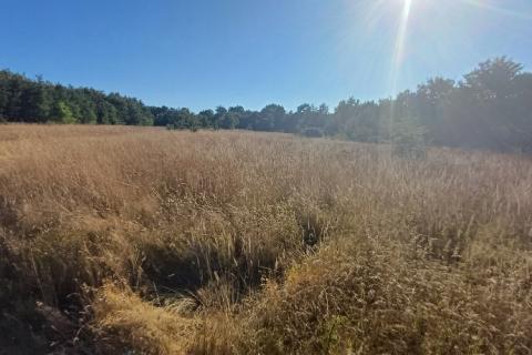 Terreno non edificabile Krnica, Marčana, 37.601m2