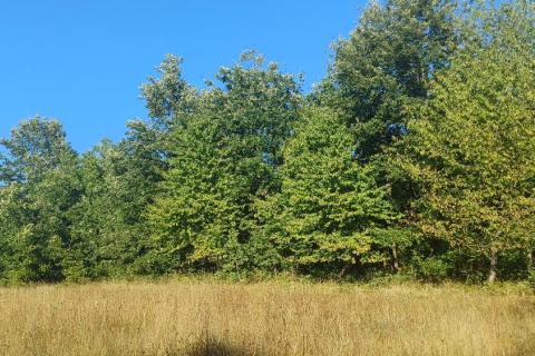 Terreno non edificabile Krnica, Marčana, 37.601m2