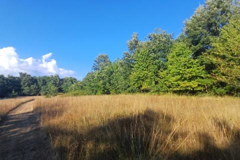 Terreno non edificabile Krnica, Marčana, 37.601m2