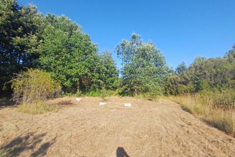 Terreno non edificabile Krnica, Marčana, 37.601m2