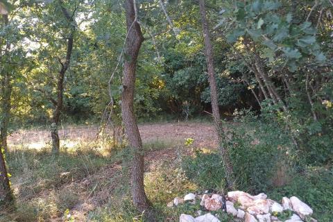 Terreno non edificabile Krnica, Marčana, 37.601m2