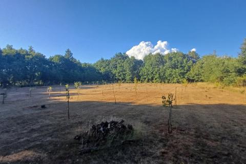 Terreno non edificabile Krnica, Marčana, 37.601m2