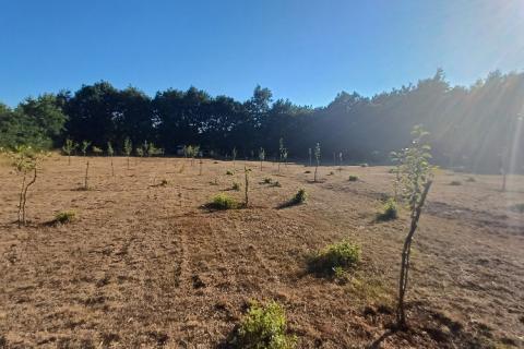 Terreno non edificabile Krnica, Marčana, 37.601m2