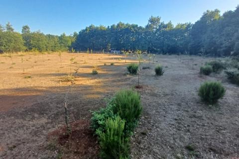 Terreno non edificabile Krnica, Marčana, 37.601m2