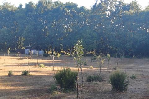 Terreno non edificabile Krnica, Marčana, 37.601m2