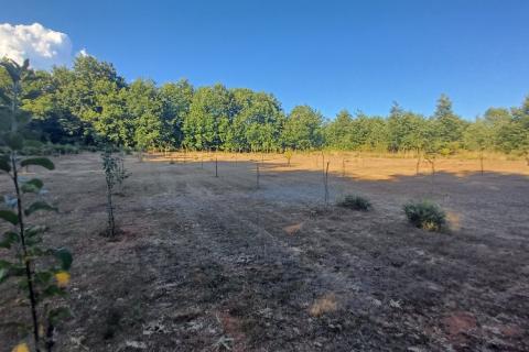 Terreno non edificabile Krnica, Marčana, 37.601m2