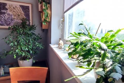 Condo/Apartment Peroj, Vodnjan, 42m2