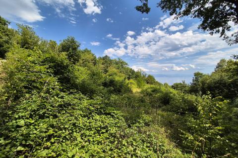 OPATIJA,VEPRINAC- zemljište s pogledom na more