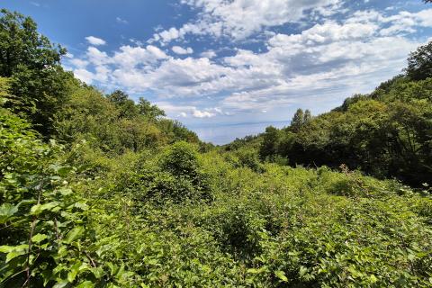 OPATIJA,VEPRINAC- zemljište s pogledom na more