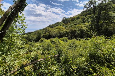 OPATIJA,VEPRINAC- zemljište s pogledom na more