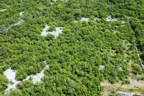 Terreno edificabile Crikvenica, 2.929m2