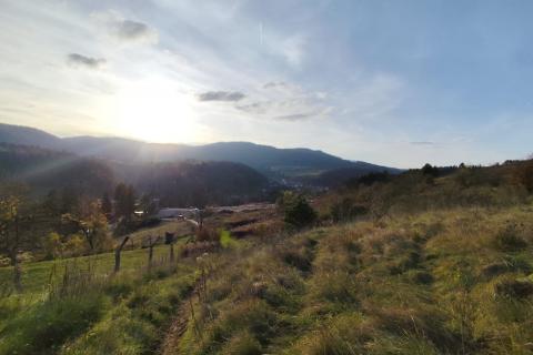 Poljoprivredno zemljište, Moravice - 1640 m2