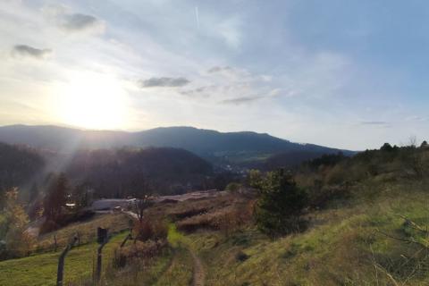 Poljoprivredno zemljište, Moravice - 1640 m2