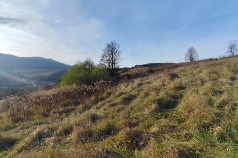 Poljoprivredno zemljište, Moravice - 1640 m2