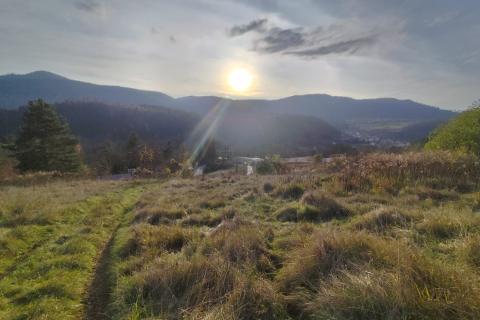 Poljoprivredno zemljište, Moravice - 1640 m2