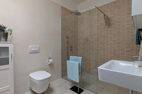 Istra, Rovinj - Moderna prizemna kuća s bazenom