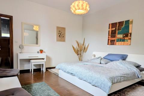 Istra, Rovinj - Moderna prizemna kuća s bazenom