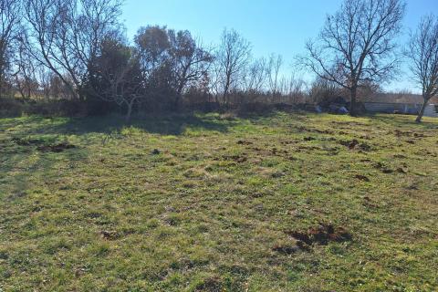 Bauland Veliki Vareški, Marčana, 650m2